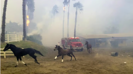 San Luis Rey Training Center Fire December 7, 2017